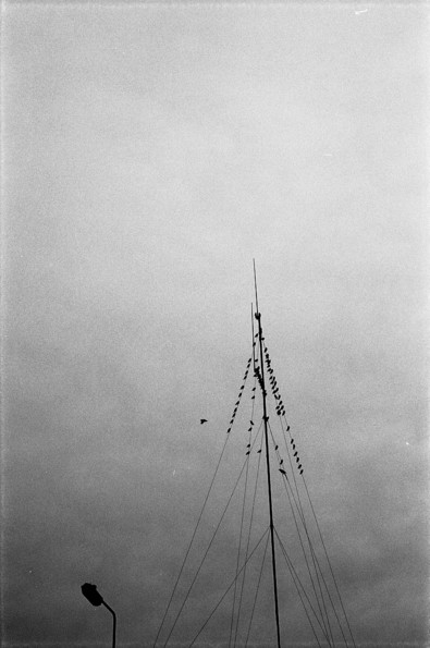 Silvrback blog image