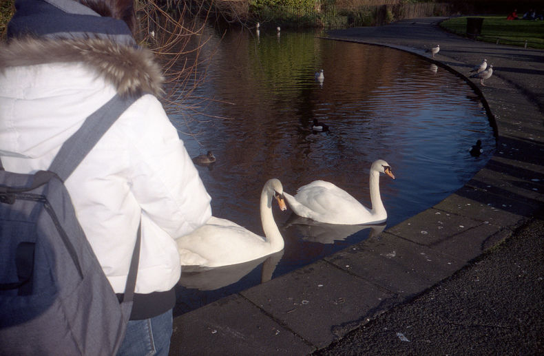 Silvrback blog image