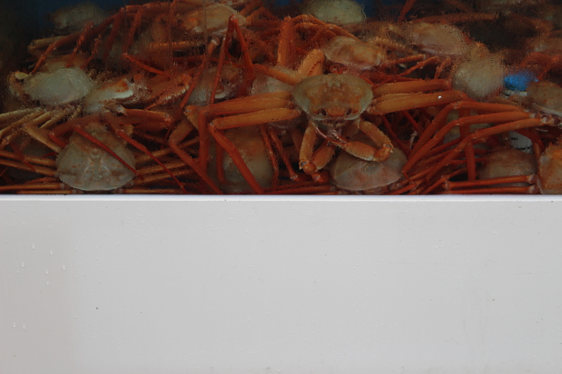 Silvrback blog image