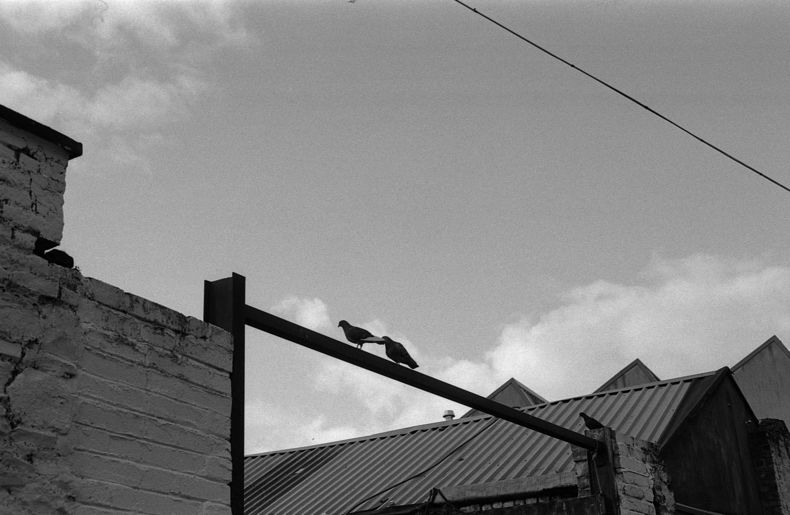 Silvrback blog image