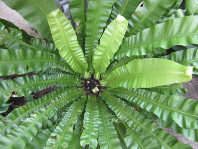 Silvrback blog image