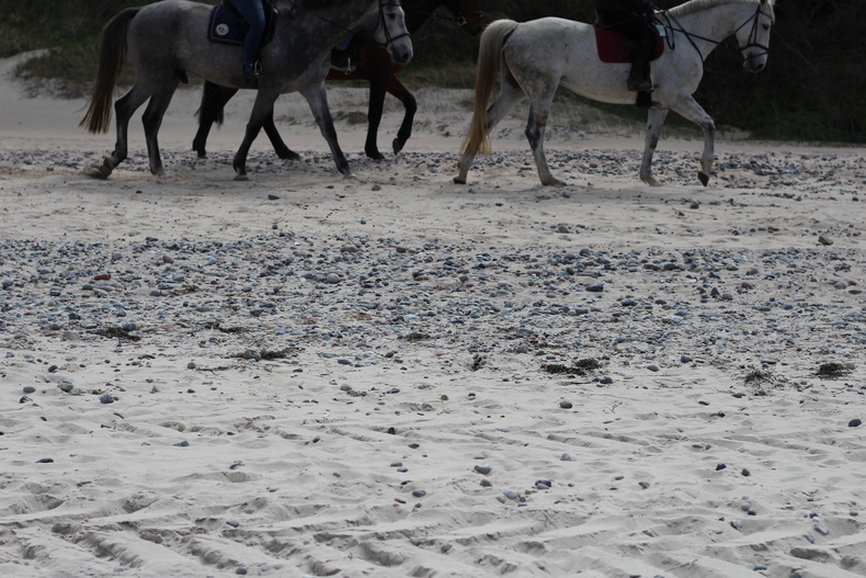 Silvrback blog image