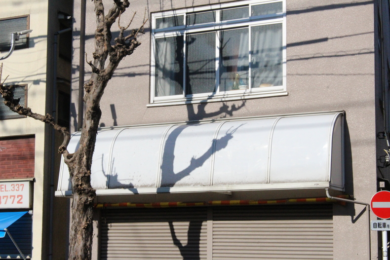 Silvrback blog image