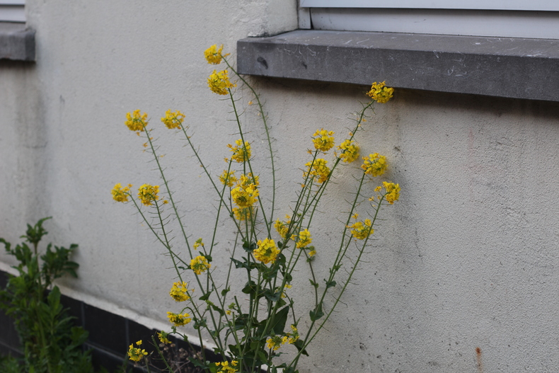 Silvrback blog image