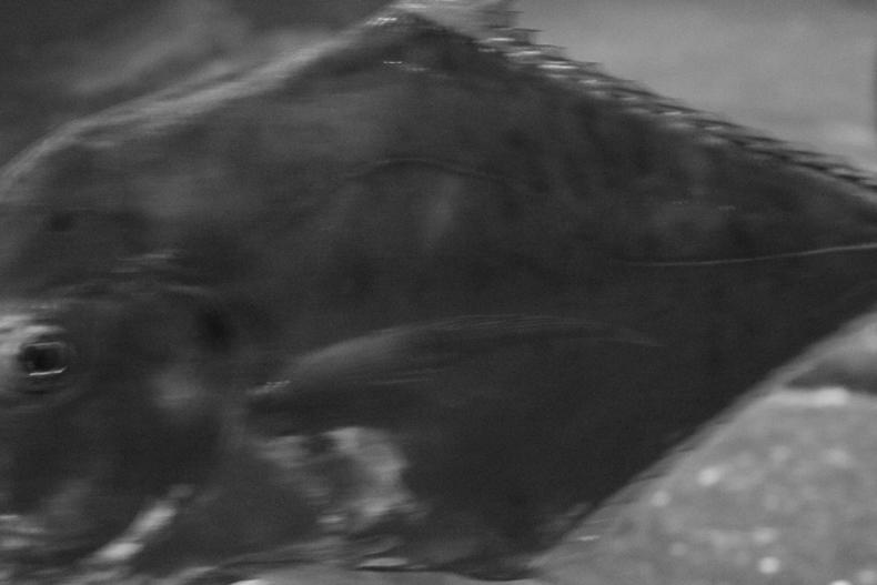 Silvrback blog image