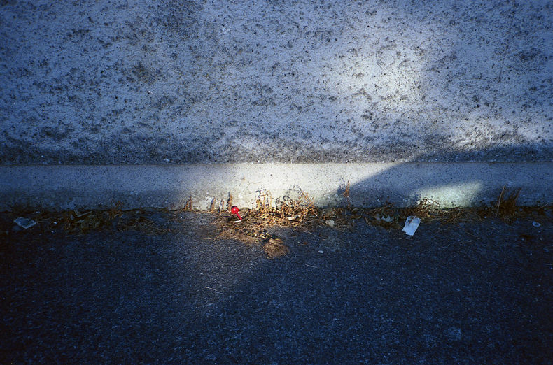 Silvrback blog image