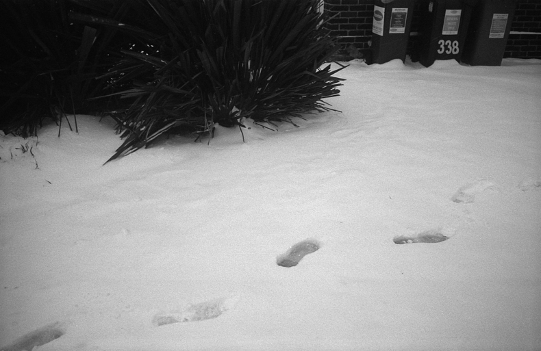 Silvrback blog image