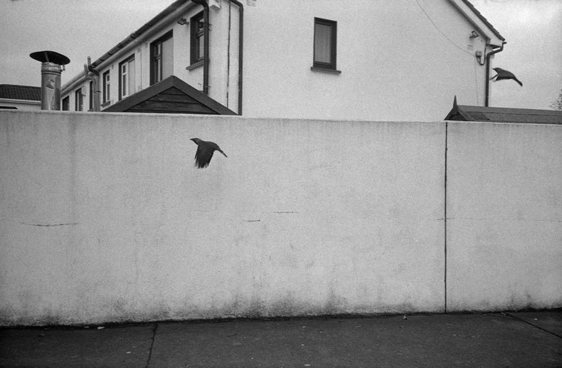 Silvrback blog image