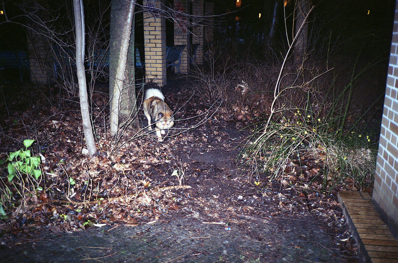 Silvrback blog image