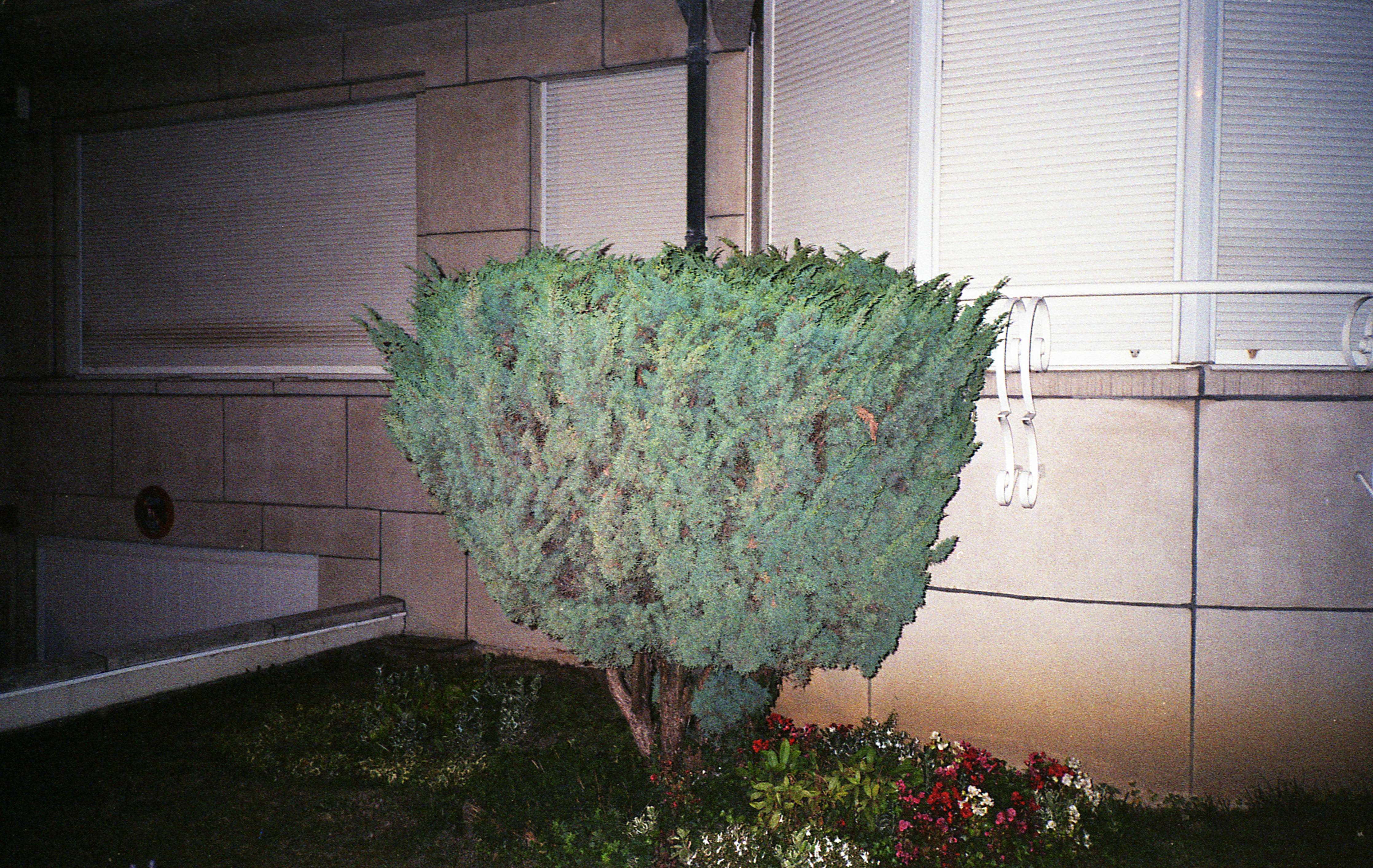 Silvrback blog image