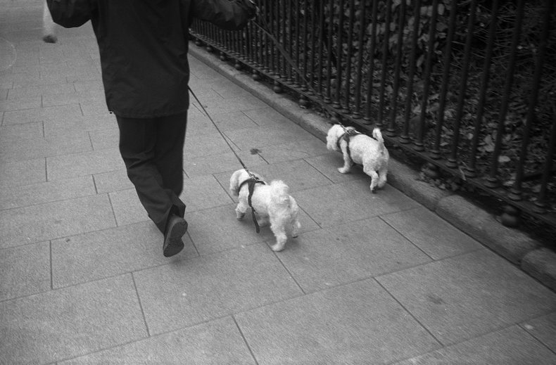 Silvrback blog image