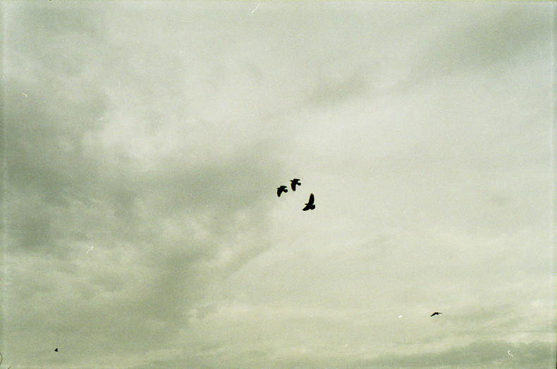 Silvrback blog image