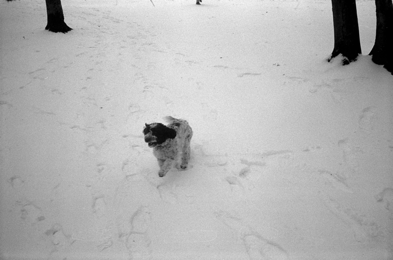 Silvrback blog image