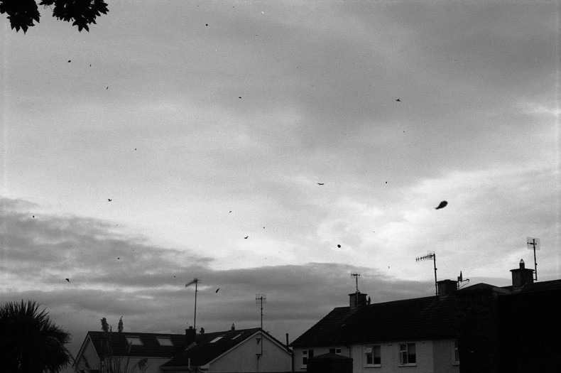 Silvrback blog image