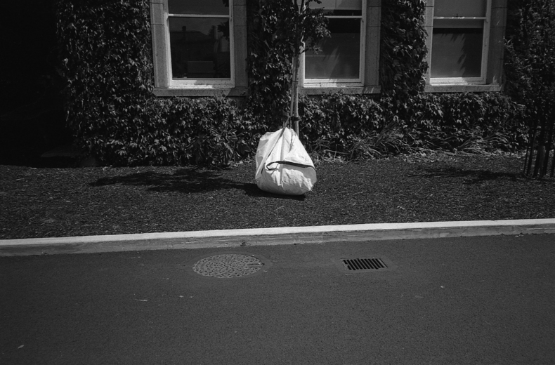 Silvrback blog image