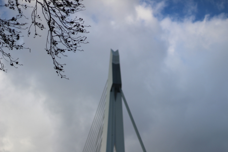 Silvrback blog image