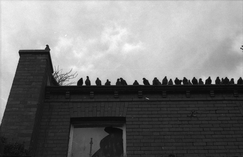 Silvrback blog image