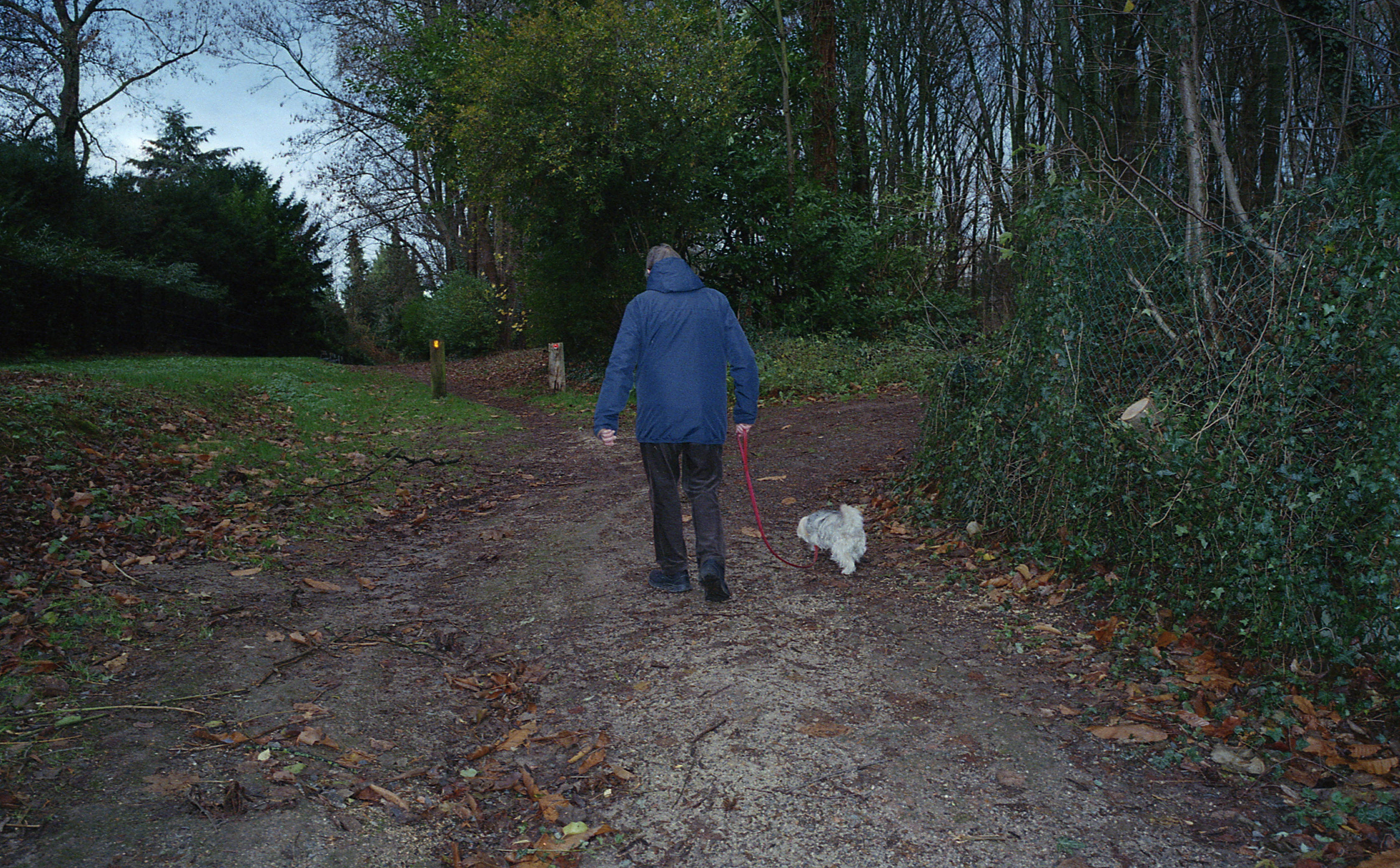 Silvrback blog image