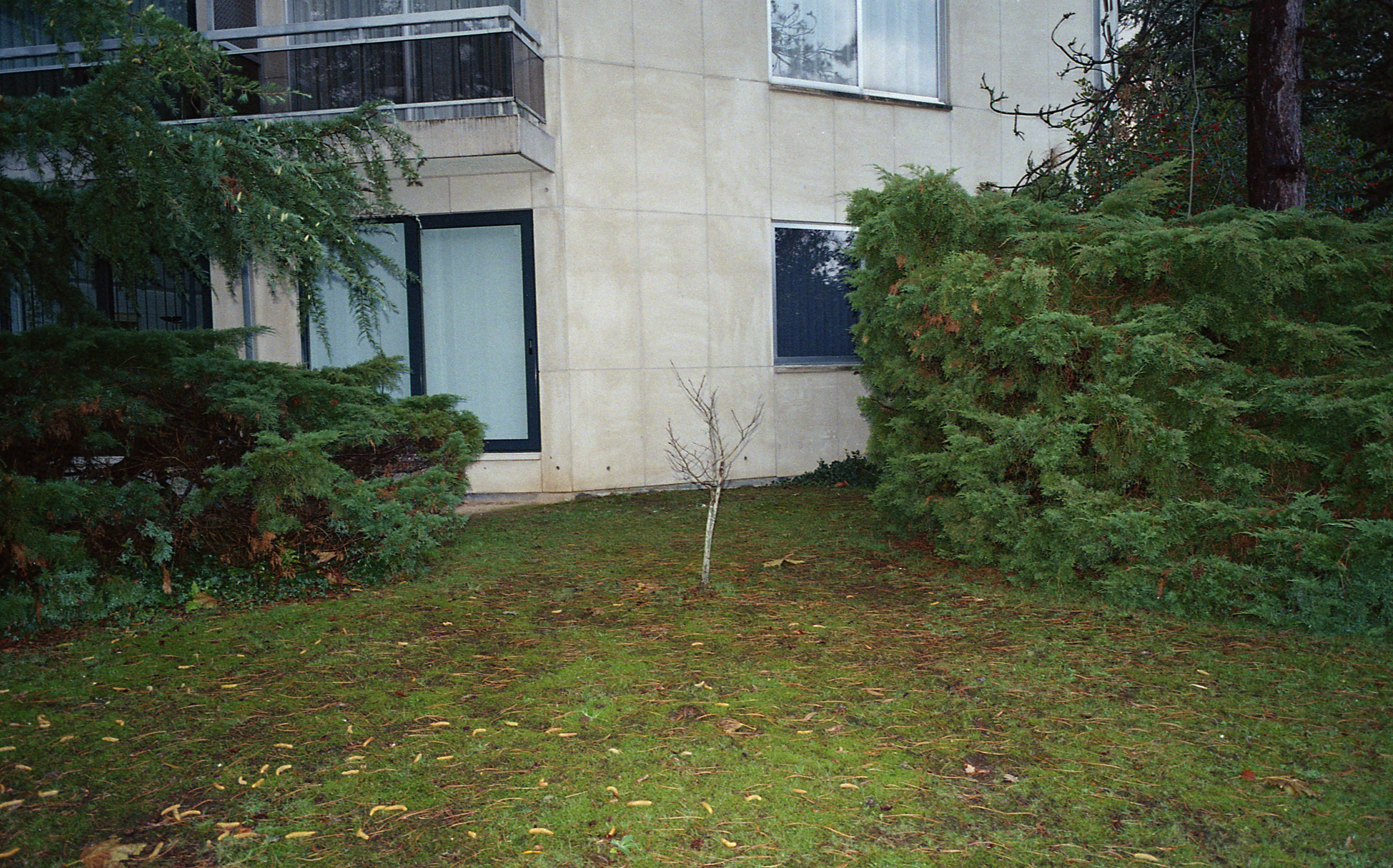 Silvrback blog image