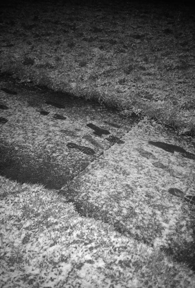 Silvrback blog image