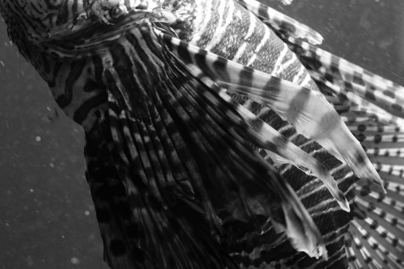 Silvrback blog image