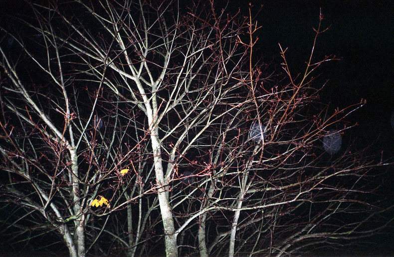 Silvrback blog image