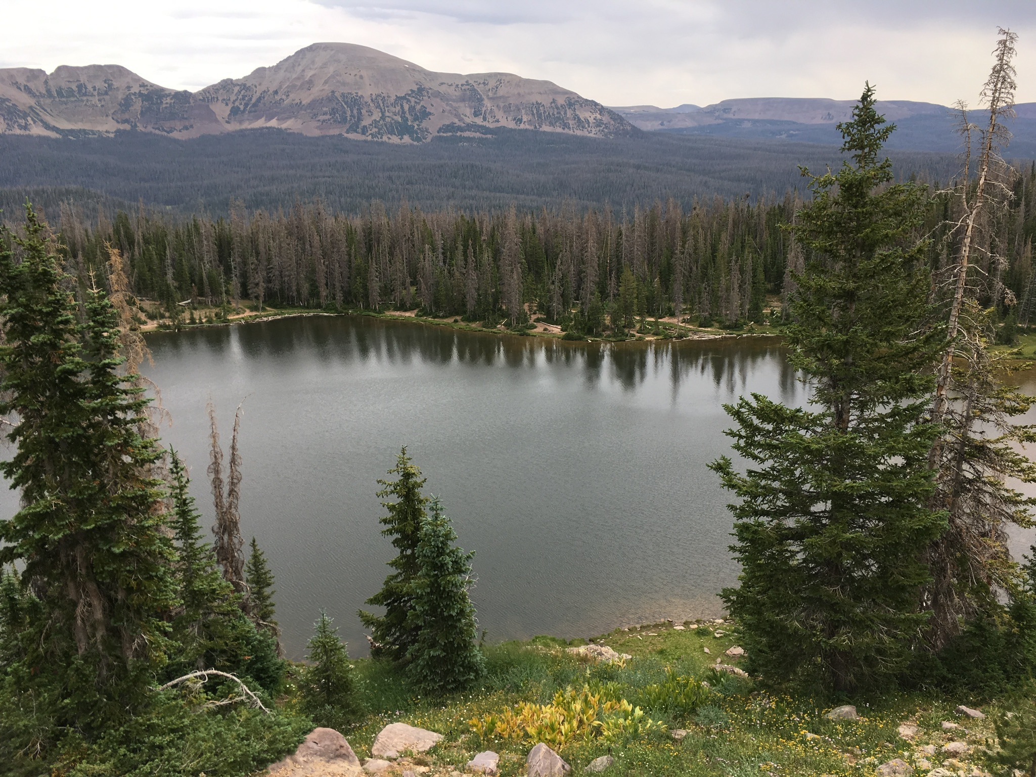 Silvrback blog image