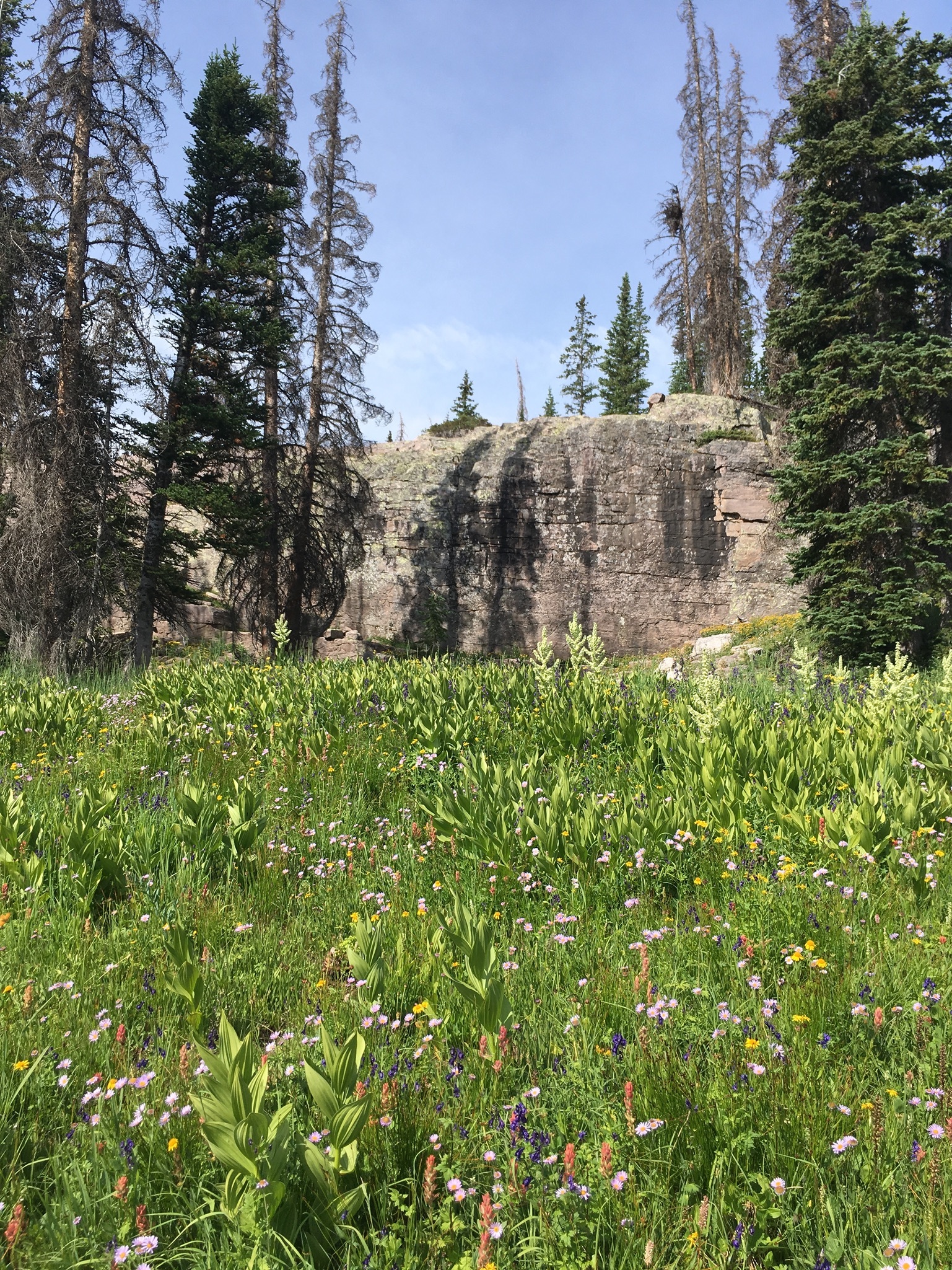 Silvrback blog image