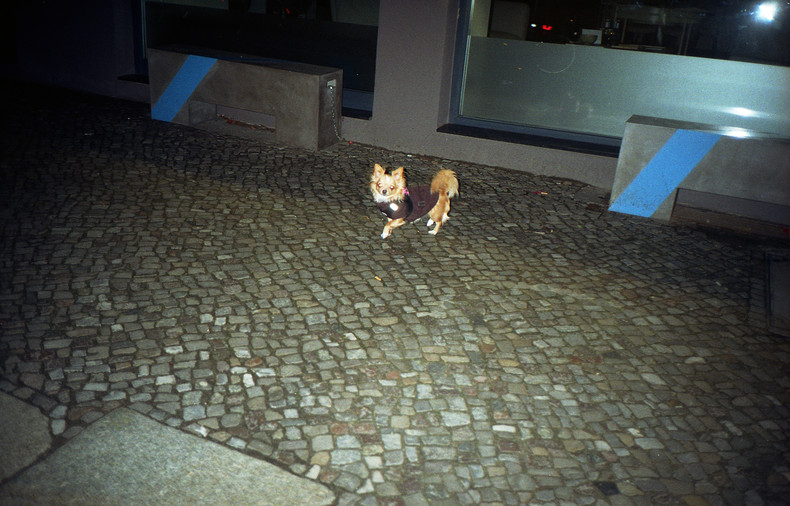 Silvrback blog image