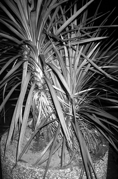 Silvrback blog image