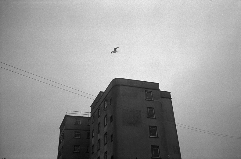 Silvrback blog image