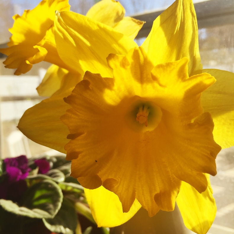 Silvrback blog image