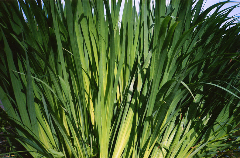 Silvrback blog image