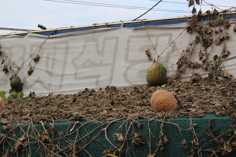 Silvrback blog image