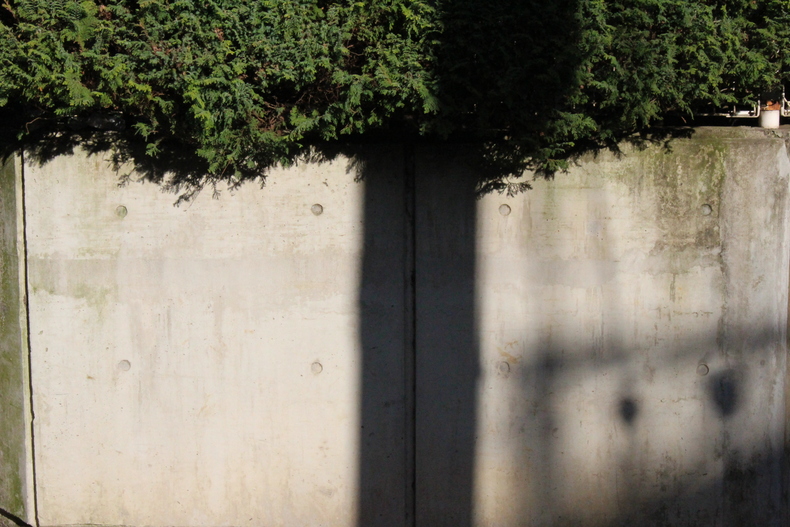 Silvrback blog image