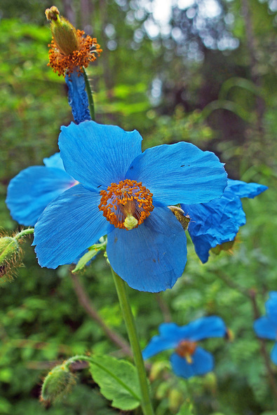 Silvrback blog image