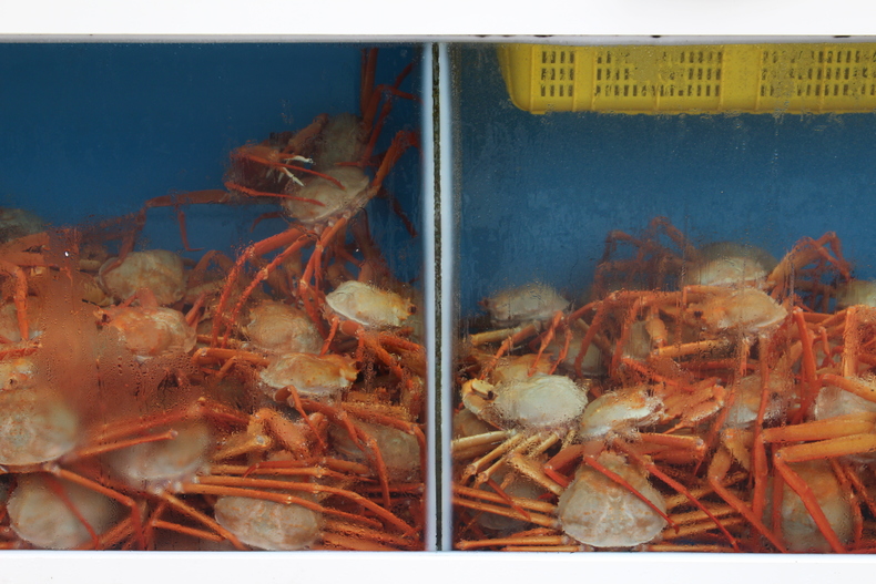 Silvrback blog image