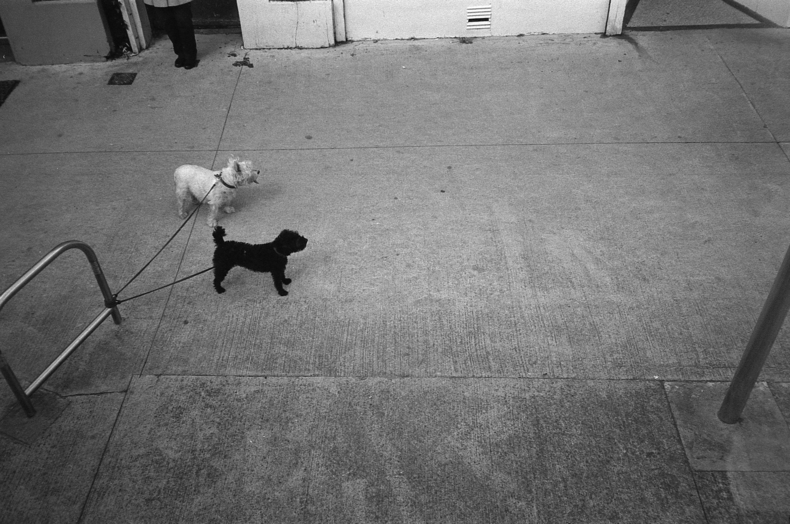 Silvrback blog image