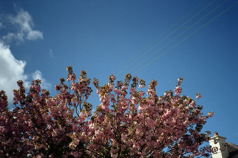 Silvrback blog image