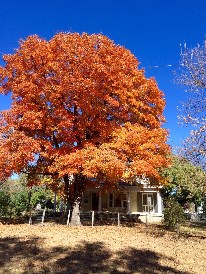 Silvrback blog image