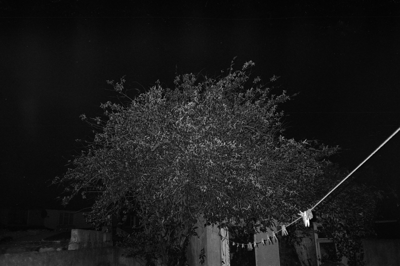 Silvrback blog image