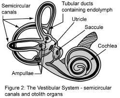 Silvrback blog image