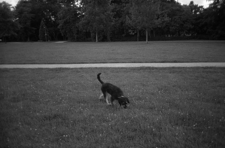 Silvrback blog image