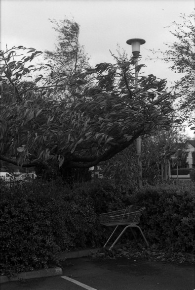 Silvrback blog image