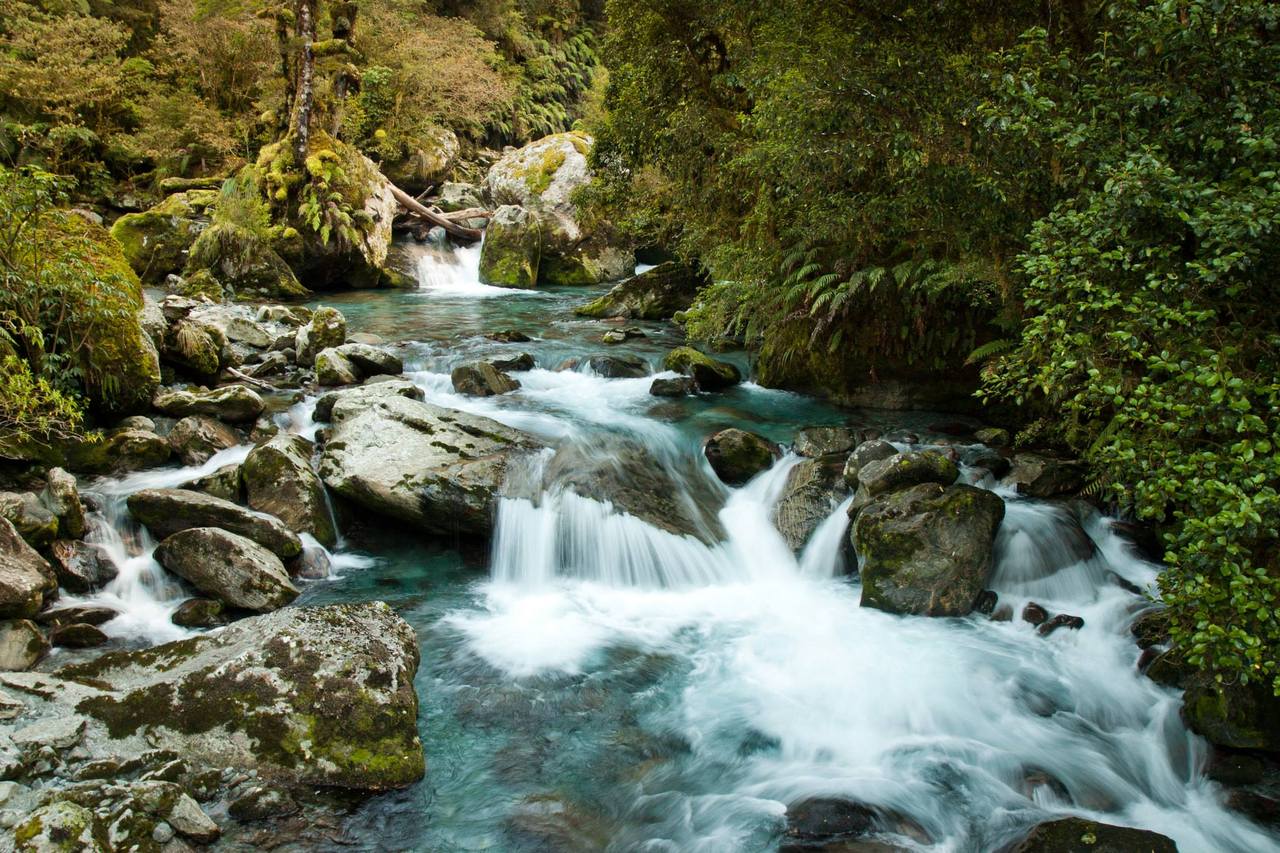 1398654_3494187171087_564495114_o_large