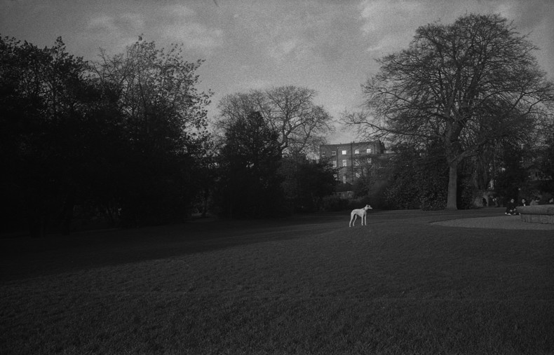 Silvrback blog image