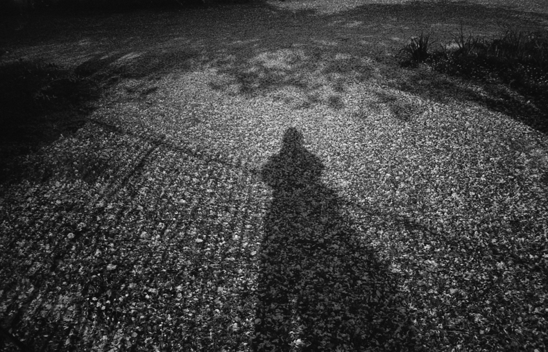 Silvrback blog image