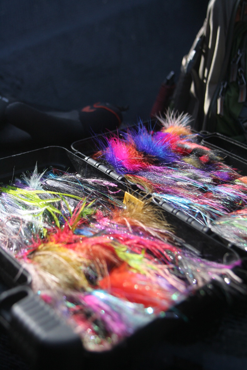Silvrback blog image