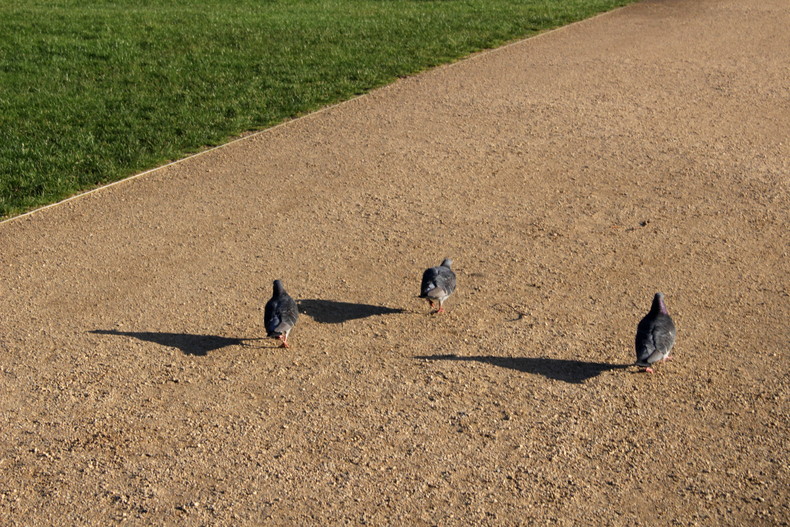 Silvrback blog image