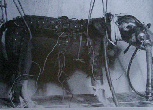 Silvrback blog image